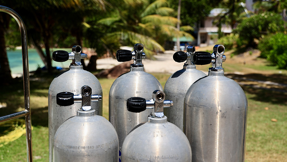 Praslin Pro divers Seychelle